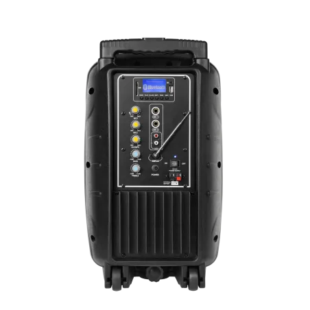 Kolumna aktywna ( z 2 mikrofonami bezprzewodowymi, SD, Bluetooth, USB) 10" 20W