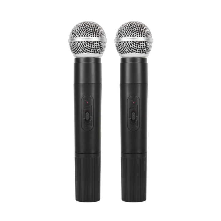 Kolumna aktywna ( z 2 mikrofonami bezprzewodowymi, SD, Bluetooth, USB) 10" 20W