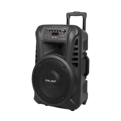 Kolumna aktywna ( z 2 mikrofonami bezprzewodowymi, SD, Bluetooth, USB) 12" 40W