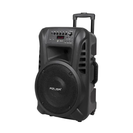 Kolumna aktywna ( z 2 mikrofonami bezprzewodowymi, SD, Bluetooth, USB) 12" 40W