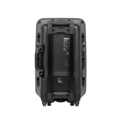 Kolumna aktywna ( z 2 mikrofonami bezprzewodowymi, SD, Bluetooth, USB) 12" 40W