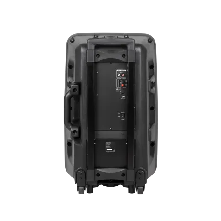 Kolumna aktywna ( z 2 mikrofonami bezprzewodowymi, SD, Bluetooth, USB) 12" 40W
