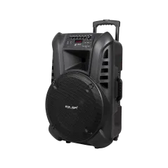 Kolumna aktywna ( z 2 mikrofonami bezprzewodowymi, SD, Bluetooth, USB) 15" 120W