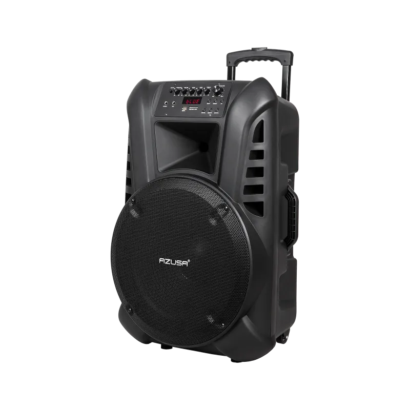 Kolumna aktywna ( z 2 mikrofonami bezprzewodowymi, SD, Bluetooth, USB) 15" 120W