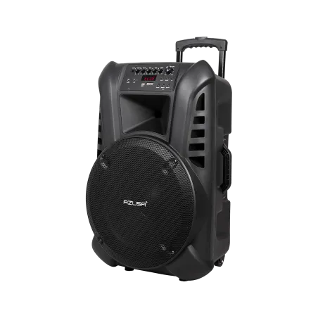 Kolumna aktywna ( z 2 mikrofonami bezprzewodowymi, SD, Bluetooth, USB) 15" 120W