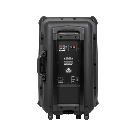 Kolumna aktywna ( z 2 mikrofonami bezprzewodowymi, SD, Bluetooth, USB) 15" 120W