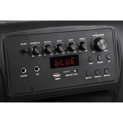 Kolumna aktywna ( z 2 mikrofonami bezprzewodowymi, SD, Bluetooth, USB) 15" 120W