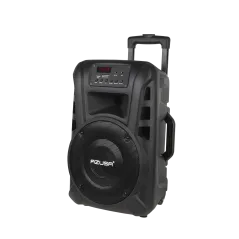 Kolumna aktywna (z 2 mikrofonami bezprzewodowymi, SD, Bluetooth, USB) 40Watt