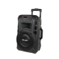 Kolumna aktywna (z 2 mikrofonami bezprzewodowymi, SD, Bluetooth, USB) 40Watt