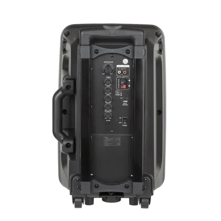 Kolumna aktywna (z 2 mikrofonami bezprzewodowymi, SD, Bluetooth, USB) 40Watt