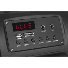 Kolumna aktywna (z 2 mikrofonami bezprzewodowymi, SD, Bluetooth, USB) 40Watt