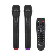 Kolumna aktywna (z 2 mikrofonami bezprzewodowymi, SD, Bluetooth, USB) 40Watt