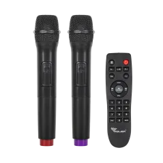 Kolumna aktywna (z 2 mikrofonami bezprzewodowymi, SD, Bluetooth, USB) 40Watt