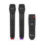 Kolumna aktywna (z 2 mikrofonami bezprzewodowymi, SD, Bluetooth, USB) 40Watt