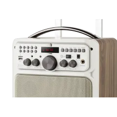 Kolumna głośnikowa aktywna Kruger&Matz D18