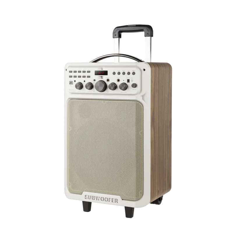 Kolumna głośnikowa aktywna Kruger&Matz D19