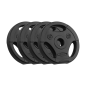 Zestaw obciążeń bitumicznych 4x1.25kg, otwór 31mm, talerz z uchwytami, REBEL ACTIVE