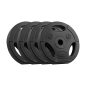 Zestaw obciążeń bitumicznych 4x5kg, otwór 31mm, talerz z uchwytami, REBEL ACTIVE Zestaw obciążeń bitumicznych 4x5kg, otwór 31mm, talerz z uchwytami, REBEL ACTIVE
