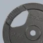 Zestaw obciążeń żeliwnych 2x15kg, otwór 31mm, talerz z uchwytami, REBEL ACTIVE