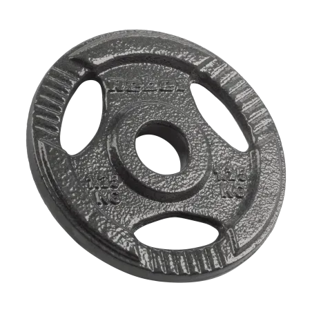Zestaw obciążeń żeliwnych 4x1.25kg, otwór 31mm, talerz z uchwytami, REBEL ACTIVE