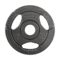 Zestaw obciążeń żeliwnych 4x1.25kg, otwór 31mm, talerz z uchwytami, REBEL ACTIVE