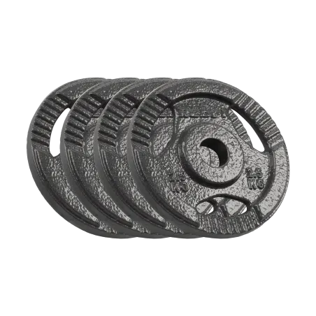 Obciążenie żeliwne zestaw 4x2.5kg, otwór 31mm, talerz z uchwytami, REBEL ACTIVE