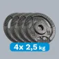 Zestaw obciążeń żeliwnych 4x2.5kg, otwór 31mm, talerz z uchwytami, REBEL ACTIVE Zestaw obciążeń żeliwnych 4x2.5kg, otwór 31mm, talerz z uchwytami, REBEL ACTIVE