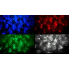 Projektor LED z głośnikiem