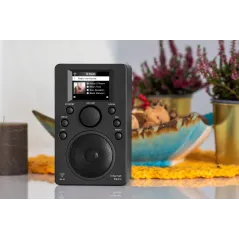 Radio internetowe Kruger&Matz KM0818