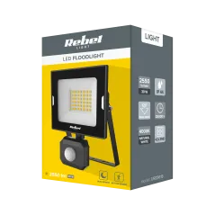 Reflektor LED 30W z sensorem ruchu i zmierzchu, 4000K, 230V