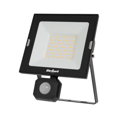 Reflektor LED 50W z sensorem zmierzchu i ruchu, 4000K, 230V