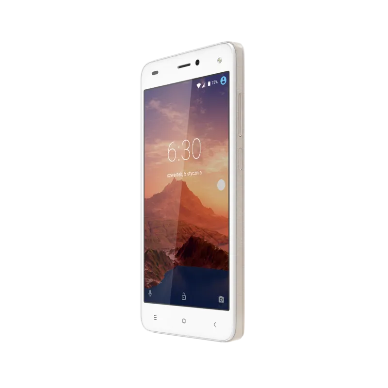 Smartfon Kruger&Matz MOVE 6+ złoty