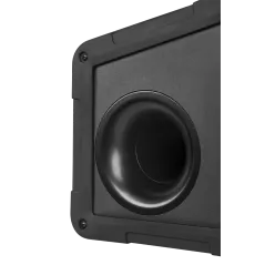 Subwoofer aktywny ALIEN PY-BA300X