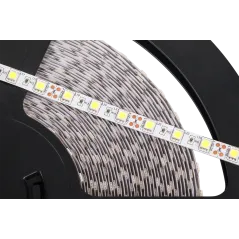 Sznur diodowy 25m Rebel (60x5050SMD/m), zimny biały, 12V