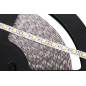 Sznur diodowy 25m Rebel (60x5050SMD/m), zimny biały, 12V