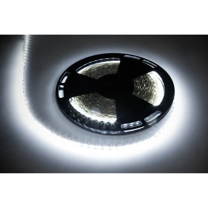 sznur diodowy 25m Rebel (1500x5050 SMD) zimny biały, 12V sznur diodowy 25m Rebel (1500x5050 SMD) zimny biały, 12V