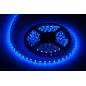 Sznur diodowy 5m niebieski , wodoodporny (300x 5050 SMD) Sznur diodowy 5m niebieski , wodoodporny (300x 5050 SMD)