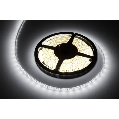Sznur diodowy 5m Rebel zimny biały wodoodporny (300x5050 SMD) 12V