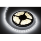 Sznur diodowy 5m Rebel zimny biały wodoodporny (300x5050 SMD) 12V Sznur diodowy 5m Rebel zimny biały wodoodporny (300x5050 SMD) 12V