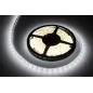 Sznur diodowy 5m Rebel zimny biały wodoodporny (300x5050 SMD) 12V Sznur diodowy 5m Rebel zimny biały wodoodporny (300x5050 SMD) 12V