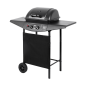 Teesa BBQ 2000 Grill gazowy - 2 palniki Teesa BBQ 2000 Grill gazowy - 2 palniki