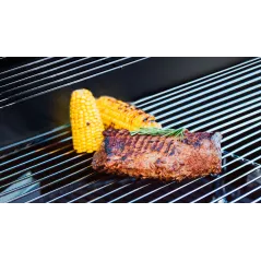 Teesa BBQ 2000 Grill gazowy - 2 palniki