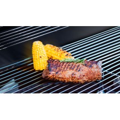 Teesa BBQ 3000 Grill gazowy - 3 palniki