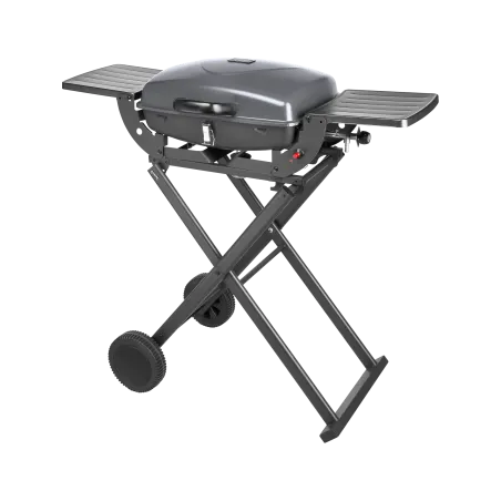 Teesa BBQ-1000 grill gazowy przenośny - składany