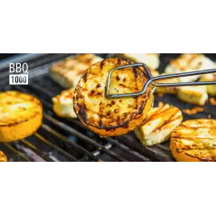 Teesa BBQ-1000 grill gazowy przenośny - składany