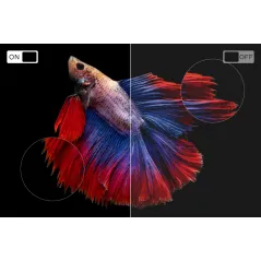 Telewizor 24" Kruger&Matz smart VIDAA DVB-T2