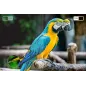 Telewizor Kruger&Matz 32" HD smart DVB-T2/S2 H.265 HEVC Telewizor Kruger&Matz 32" HD smart DVB-T2/S2 H.265 HEVC