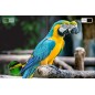 Telewizor Kruger&Matz 43" FHD smart DVB-T2/S2 H.265 HEVC