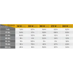 Zasilacz awaryjny KEMOT PROsinus-800-LFP4 przetwornica