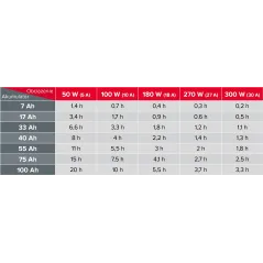 Zasilacz Awaryjny Naścienny Rebel POWER-800 - przetwornica z czystym przebiegiem sinusoidalnym i funkcją ładowania 12V 230V 800